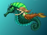 Seahorse Ride